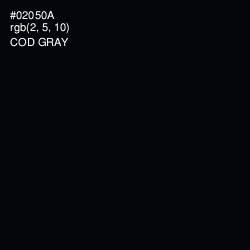 #02050A - Cod Gray Color Image